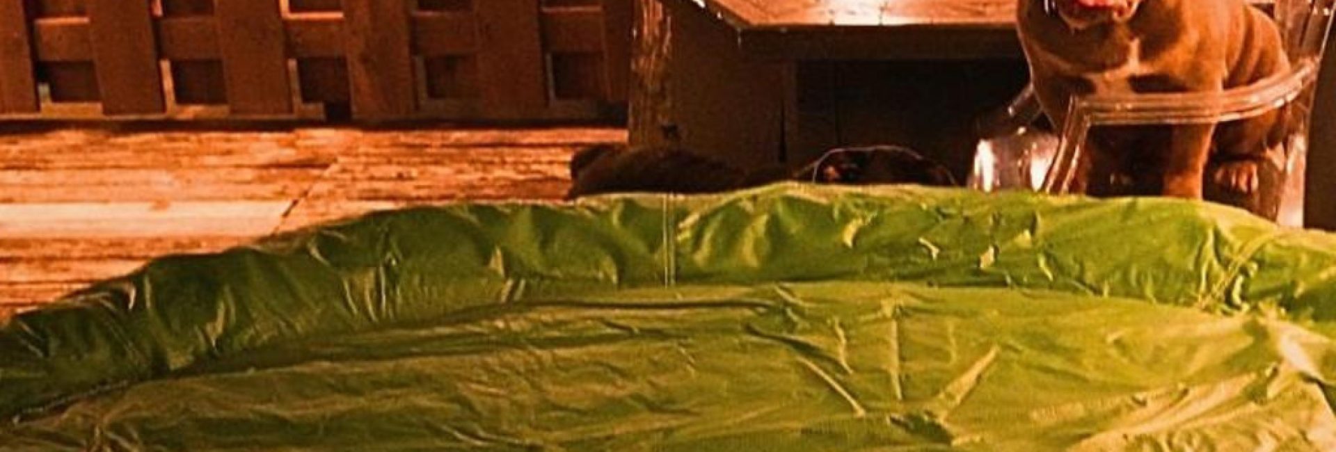 The Tree House with Hot Tub – Queen Village