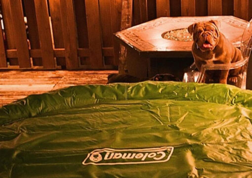 The Tree House with Hot Tub – Queen Village